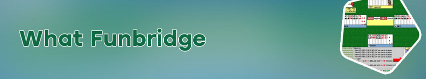 Bridge base online just play bridge