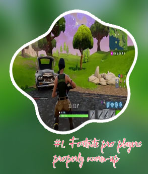 Fortnite pro gameplay