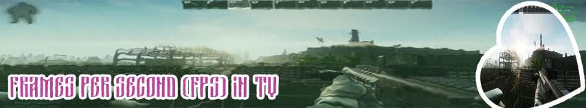 Fps in game