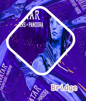 Play bridge now free
